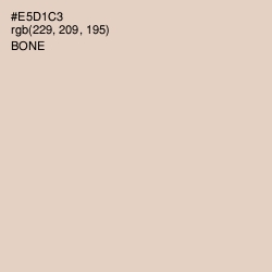 #E5D1C3 - Bone Color Image