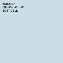 #CBDEE7 - Botticelli Color Image