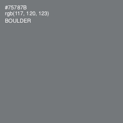 #75787B - Boulder Color Image