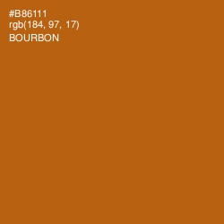 #B86111 - Bourbon Color Image