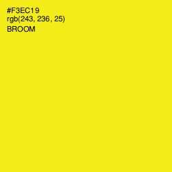 #F3EC19 - Broom Color Image