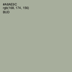 #A8AE9C - Bud Color Image