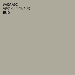 #ADAA9C - Bud Color Image