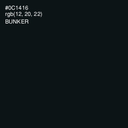 #0C1416 - Bunker Color Image