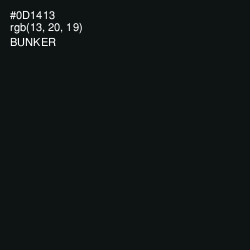 #0D1413 - Bunker Color Image