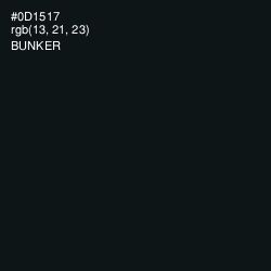 #0D1517 - Bunker Color Image