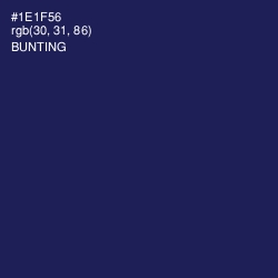 #1E1F56 - Bunting Color Image