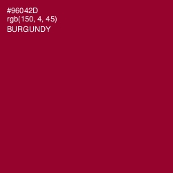 #96042D - Burgundy Color Image