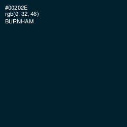 #00202E - Burnham Color Image