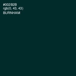 #002B2B - Burnham Color Image