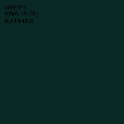 #092824 - Burnham Color Image