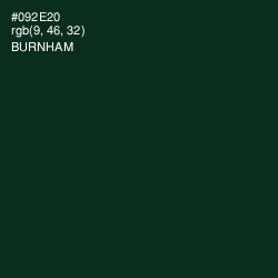 #092E20 - Burnham Color Image