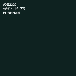 #0E2220 - Burnham Color Image