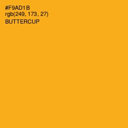 #F9AD1B - Buttercup Color Image