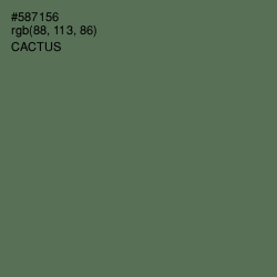 #587156 - Cactus Color Image