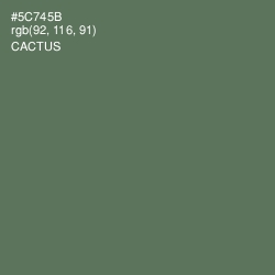 #5C745B - Cactus Color Image
