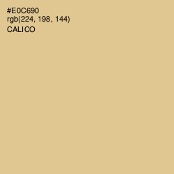 #E0C690 - Calico Color Image