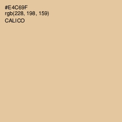 #E4C69F - Calico Color Image
