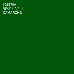 #02570A - Camarone Color Image