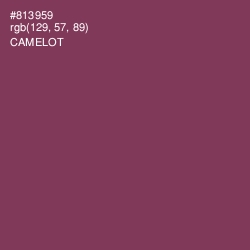 #813959 - Camelot Color Image