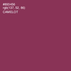 #893456 - Camelot Color Image