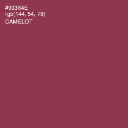 #90364E - Camelot Color Image