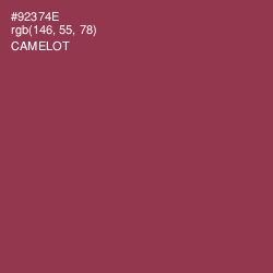 #92374E - Camelot Color Image