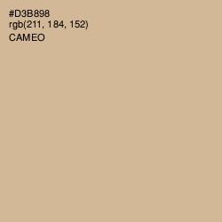 #D3B898 - Cameo Color Image