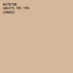 #D7B79B - Cameo Color Image