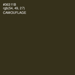 #36311B - Camouflage Color Image