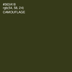#363A18 - Camouflage Color Image
