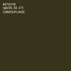 #37341B - Camouflage Color Image