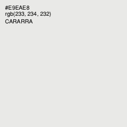 #E9EAE8 - Cararra Color Image