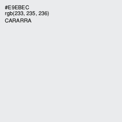 #E9EBEC - Cararra Color Image