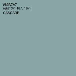#89A7A7 - Cascade Color Image