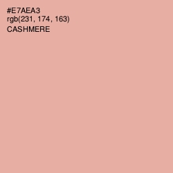#E7AEA3 - Cashmere Color Image