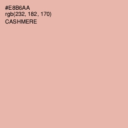 #E8B6AA - Cashmere Color Image