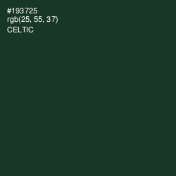 #193725 - Celtic Color Image