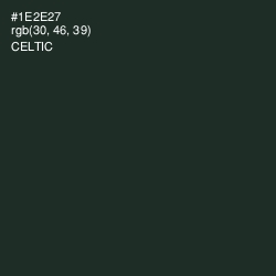 #1E2E27 - Celtic Color Image