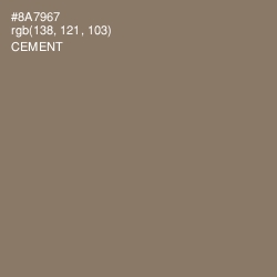 #8A7967 - Cement Color Image