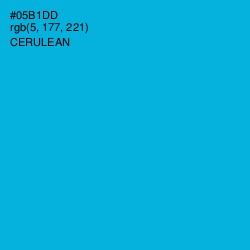 #05B1DD - Cerulean Color Image