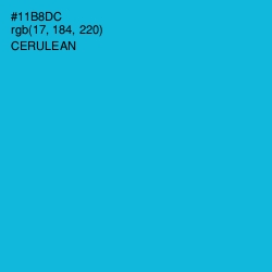 #11B8DC - Cerulean Color Image