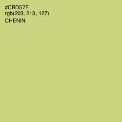 #CBD57F - Chenin Color Image