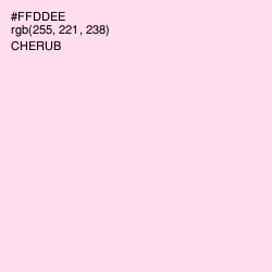 #FFDDEE - Cherub Color Image