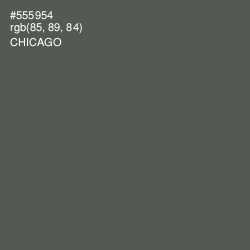 #555954 - Chicago Color Image