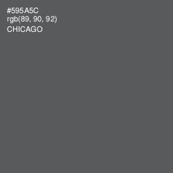#595A5C - Chicago Color Image