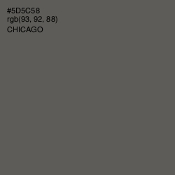 #5D5C58 - Chicago Color Image