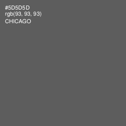 #5D5D5D - Chicago Color Image