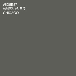 #5D5E57 - Chicago Color Image