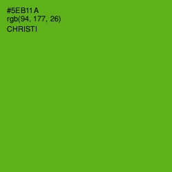 #5EB11A - Christi Color Image